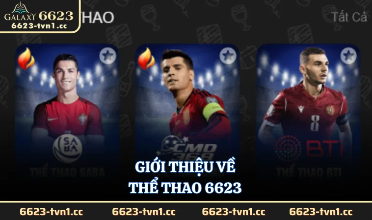 Giới thiệu về Thể Thao 6623