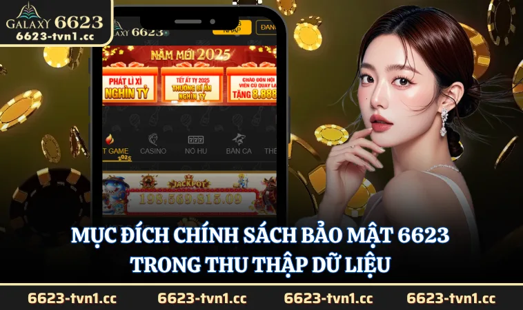 Mục đích chính sách bảo mật 6623 trong thu thập dữ liệu